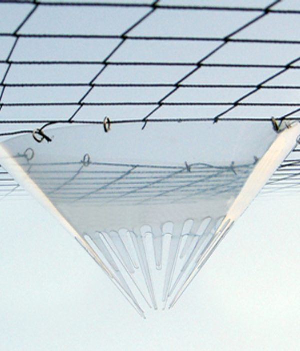 birdscape1