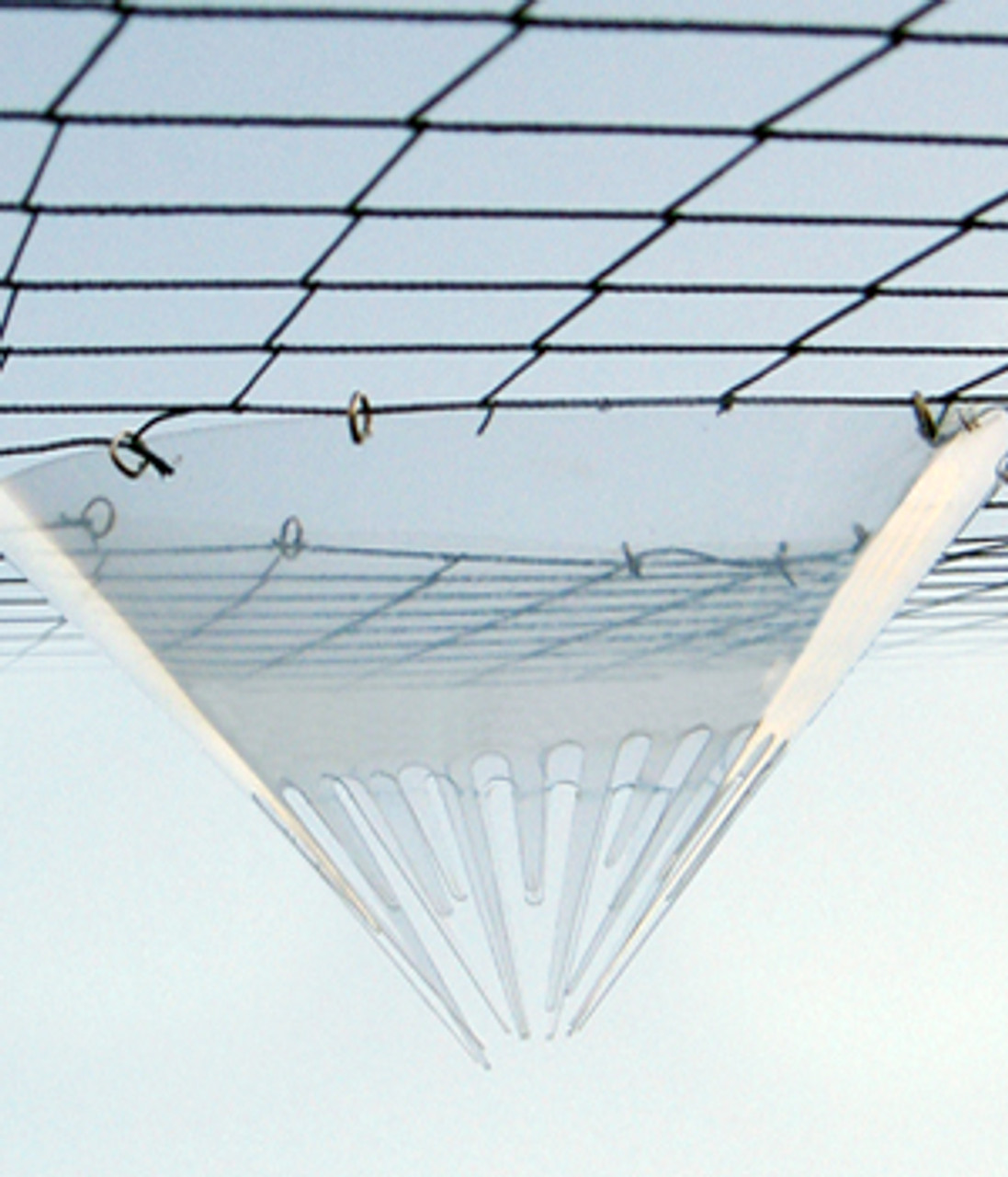 birdscape1