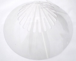 Birdscape bird escape funnel