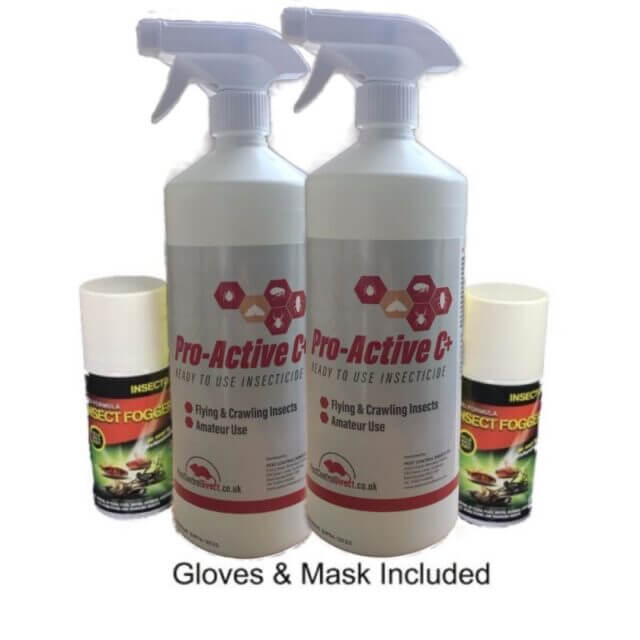 How To Control Carpet Moth Pest Control Direct Moth Control Products