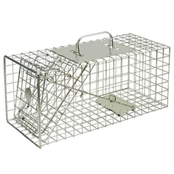Humane Cage For Squirrels And Small Wildlife, Bargain Defenders Animal Trap 