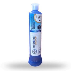 maxforce quantum ant gel for professional use