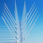 Polycarbonate 4-Point Bird Spikes