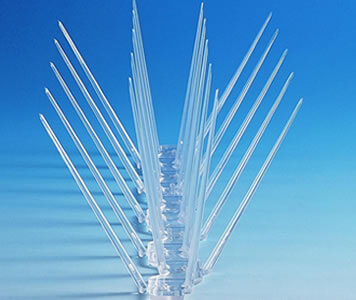 Polycarbonate 4-Point Bird Spikes
