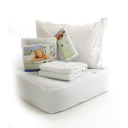 Protect a bed pillow protectors