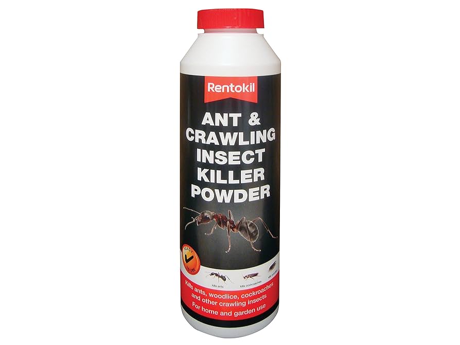 rentokilantpowder