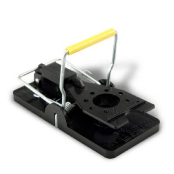 kness mouse trap snap e