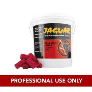 jaguar blocks