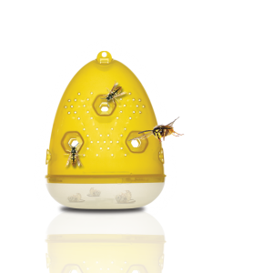 Organ-X Wasp Trap