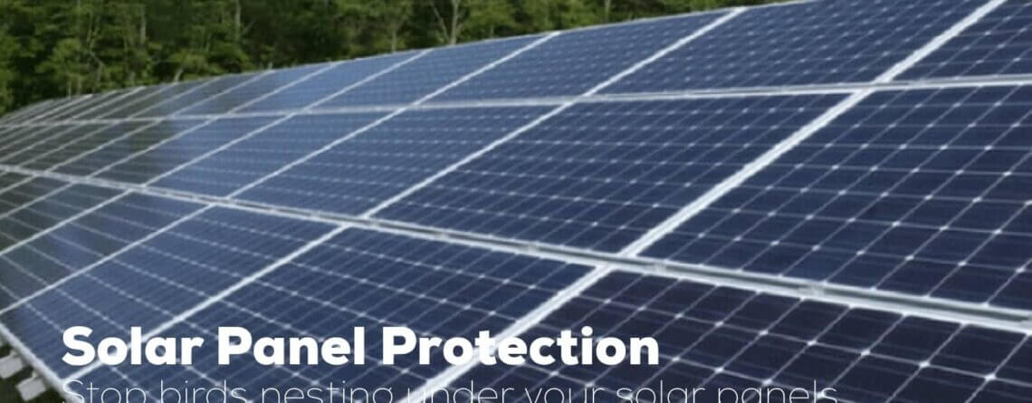 Solar panel bird proofing background