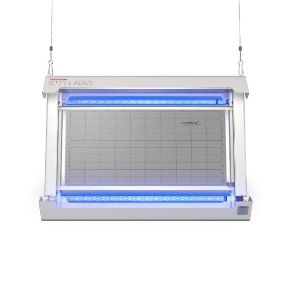 cham_stellaris_white_front_1000px