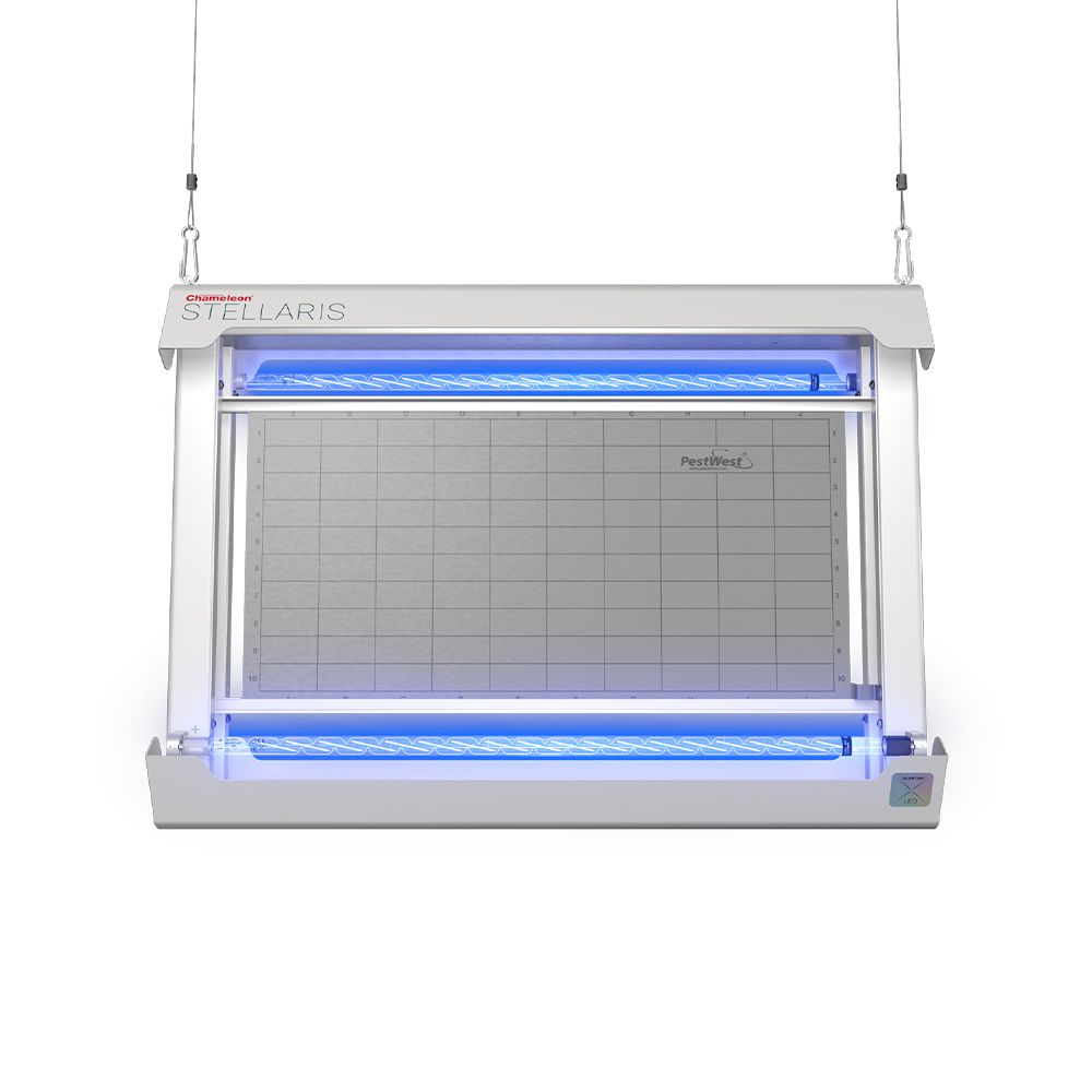 cham_stellaris_white_front_1000px